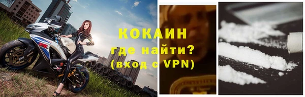 ешки Инта