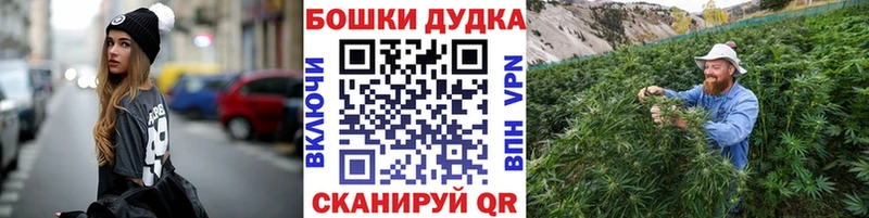 Марихуана сатива Перевоз